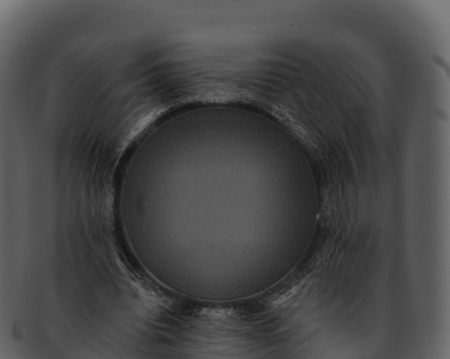 X0000092320440200710051259