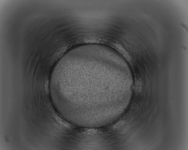 X0000092320441200710051259