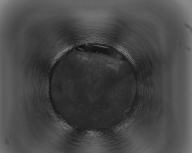 X0000092320442200710051259