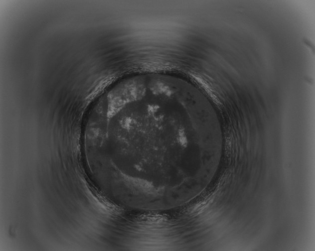 X0000092320443200710051259