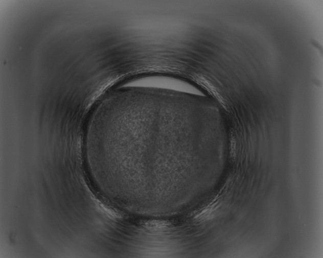 X0000092320444200710051259