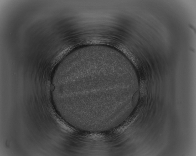 X0000092320445200710051259