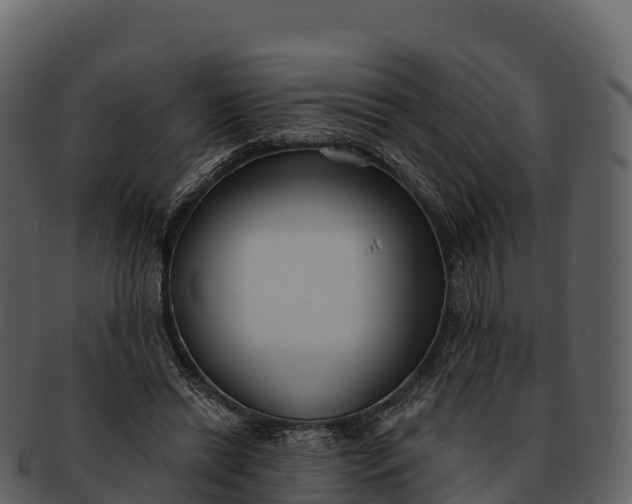 X0000092320446200710051259