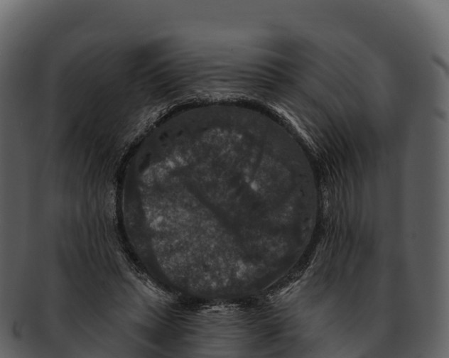 X0000092320447200710051259