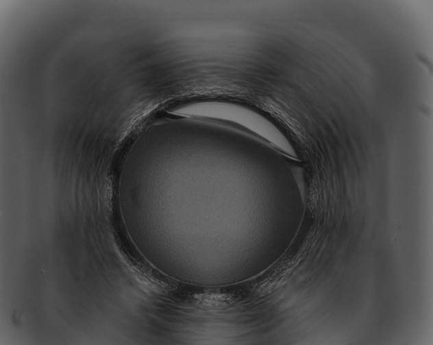 X0000092320448200710051259