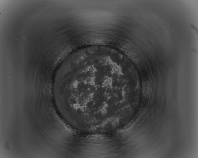 X0000092320449200710051259