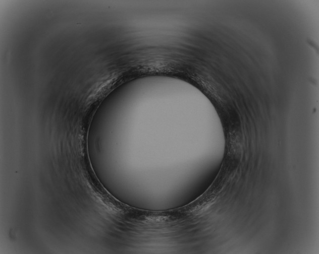 X0000092320450200710051259