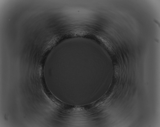 X0000092320451200710051259