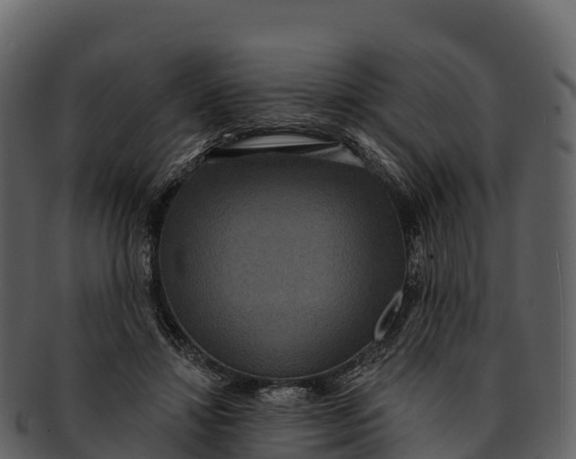 X0000092320452200710051259