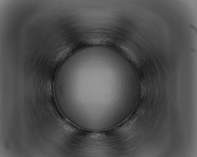 X0000092320453200710051259