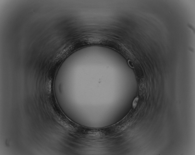 X0000092320454200710051300