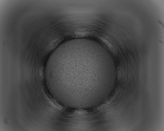 X0000092320455200710051300