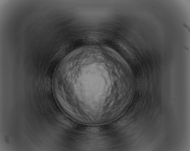 X0000092320457200710051300