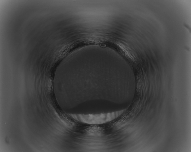 X0000092320459200710051300