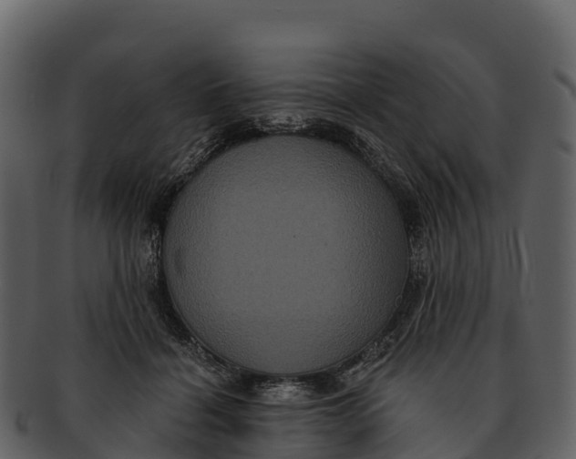 X0000092320460200710051300