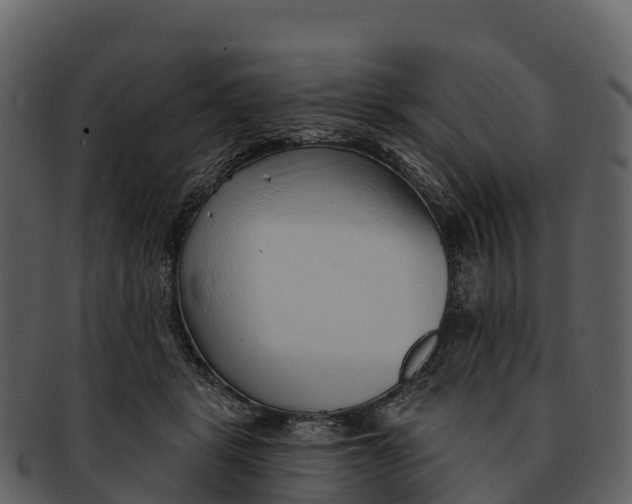 X0000092320461200710051300