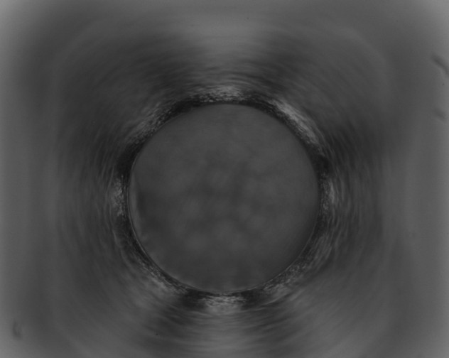 X0000092320465200710051300