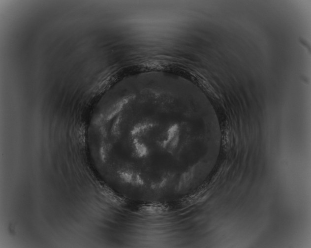X0000092320466200710051300