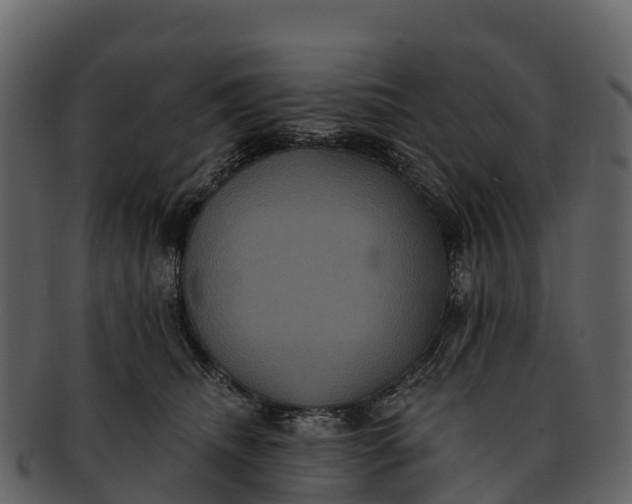 X0000092320468200710051300
