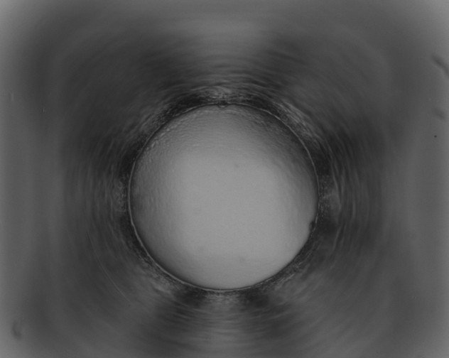 X0000092320469200710051300