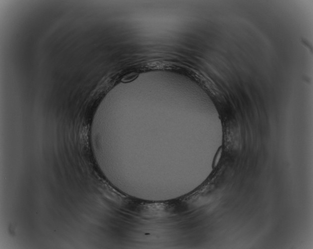 X0000092320473200710051300