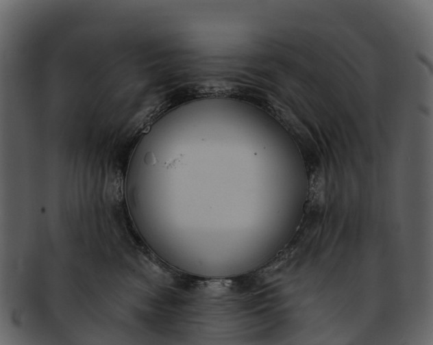 X0000092320474200710051300