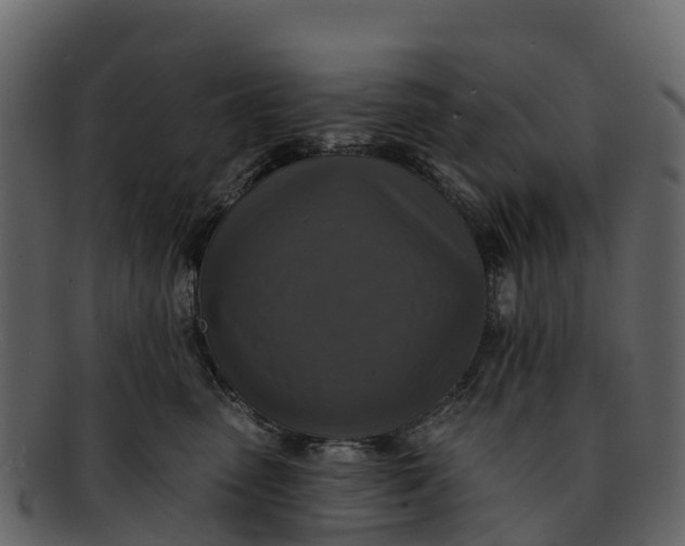 X0000092320475200710051300