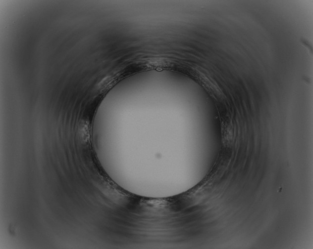 X0000092320478200710051300