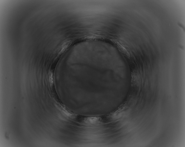 X0000092320479200710051300