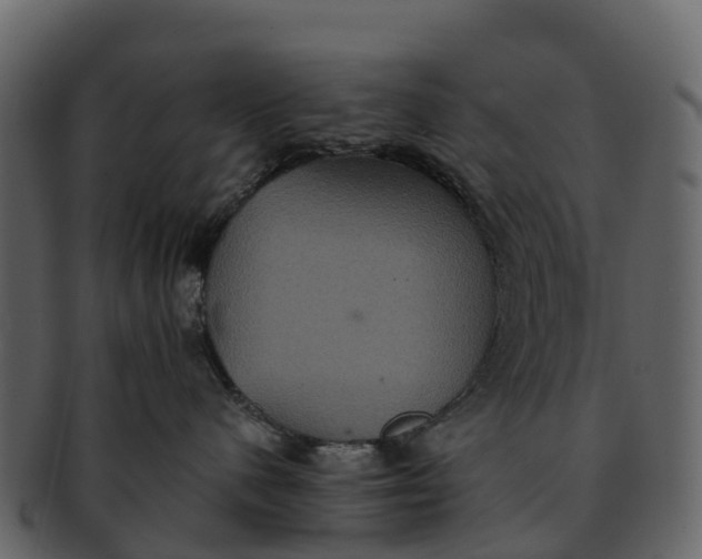 X0000092320480200710051300