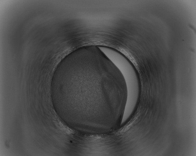 X0000092320481200710051259