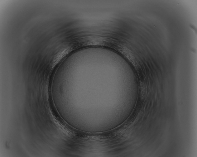 X0000092320482200710051259