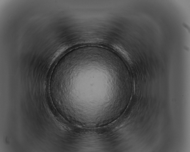 X0000092320483200710051259