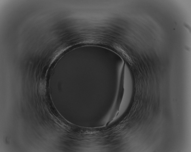 X0000092320484200710051259