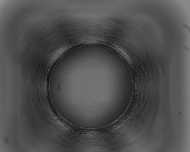 X0000092320485200710051259