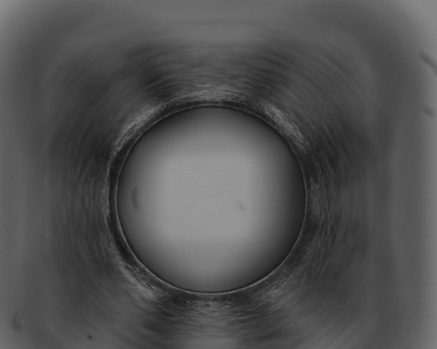 X0000092320486200710051259