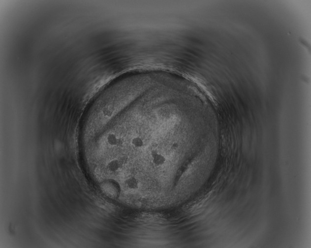 X0000092320487200710051259