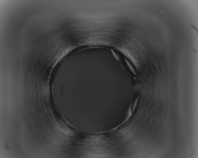 X0000092320488200710051259