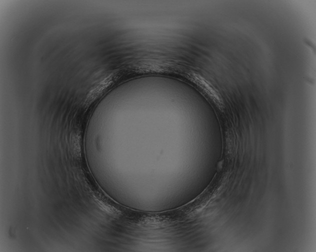 X0000092320489200710051259