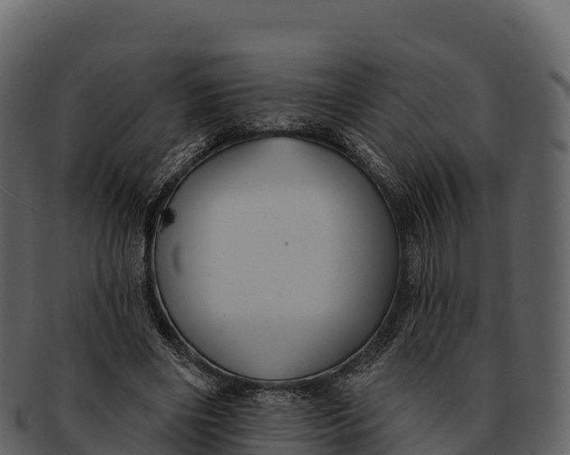 X0000092320490200710051259