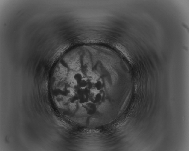 X0000092320491200710051259