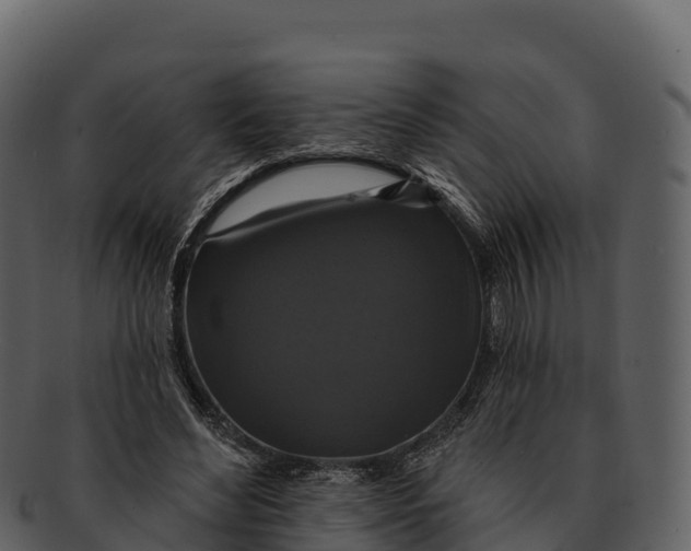 X0000092320492200710051259