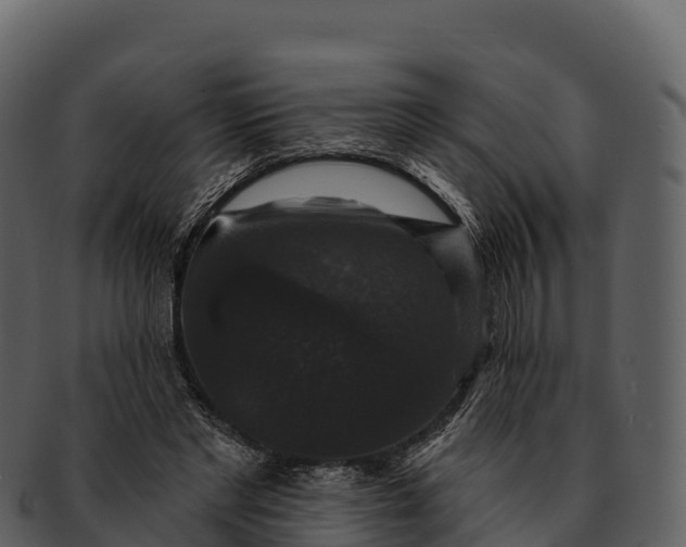 X0000092320493200710051259