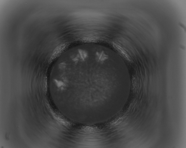 X0000092320494200710051259