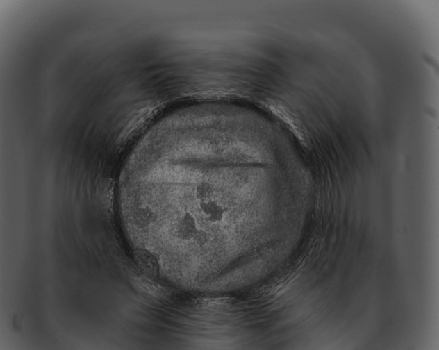 X0000092320495200710051259