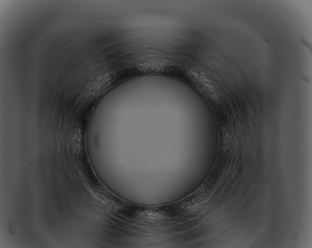 X0000092320498200710051259