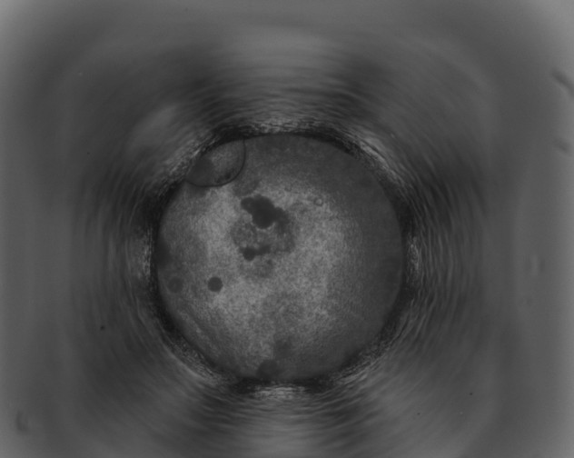 X0000092320499200710051259