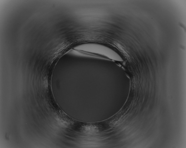 X0000092320500200710051259