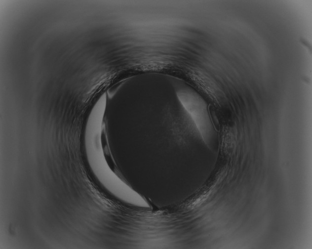 X0000092320501200710051259