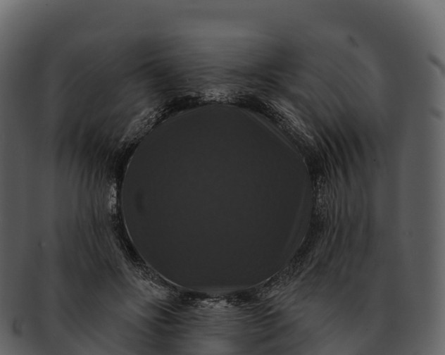 X0000092320502200710051259